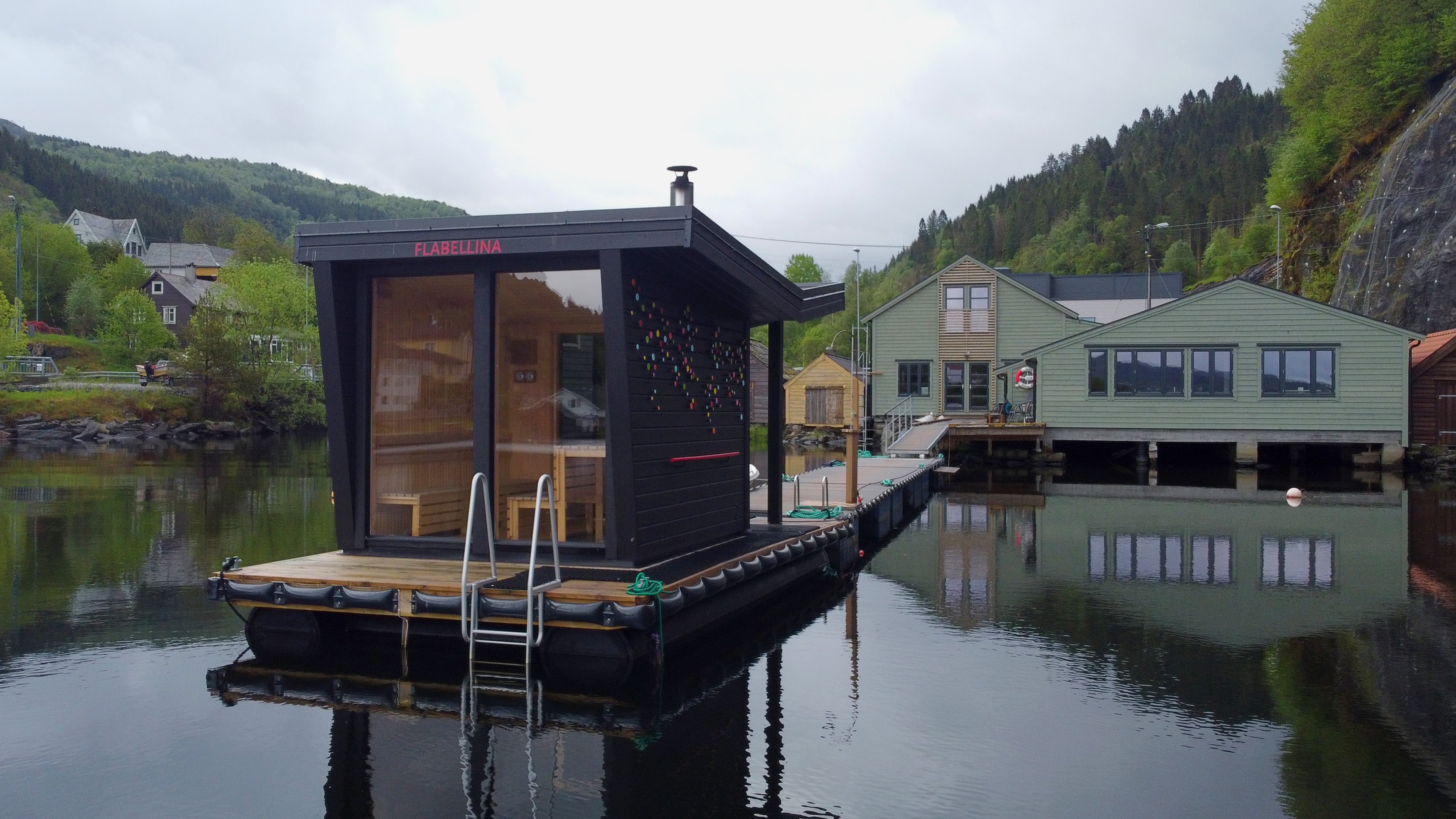 Flabellina in Lonevag